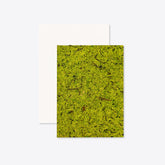 Waldmoos card with envelope A6 / C6